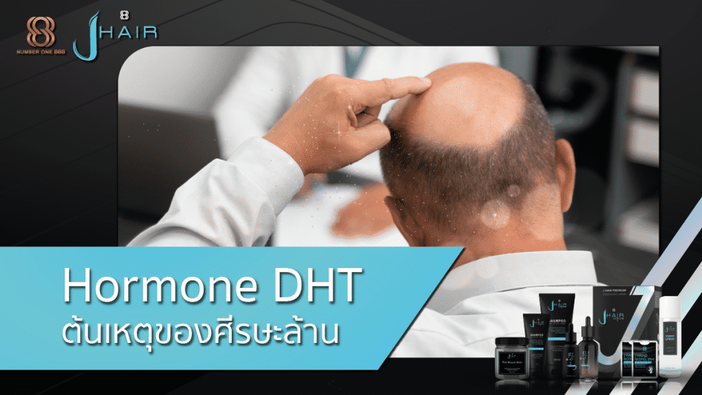 Hormone DHT สาเหตุของศีรษะล้าน - สาระน่ารู้จาก Jhair