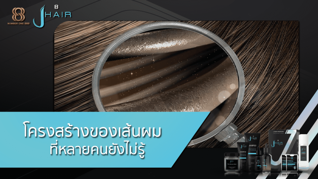 โครงสร้างของเส้นผม - สาระน่ารู้จาก Jhair serum