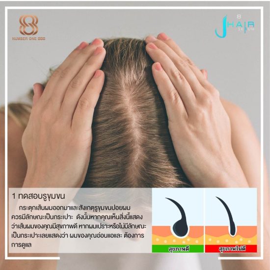 วิธีตรวจสอบสุขภาพของเส้นผม - สาระน่ารู้จาก Jhair